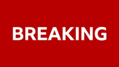 Man dies after tiger attack at wildlife park